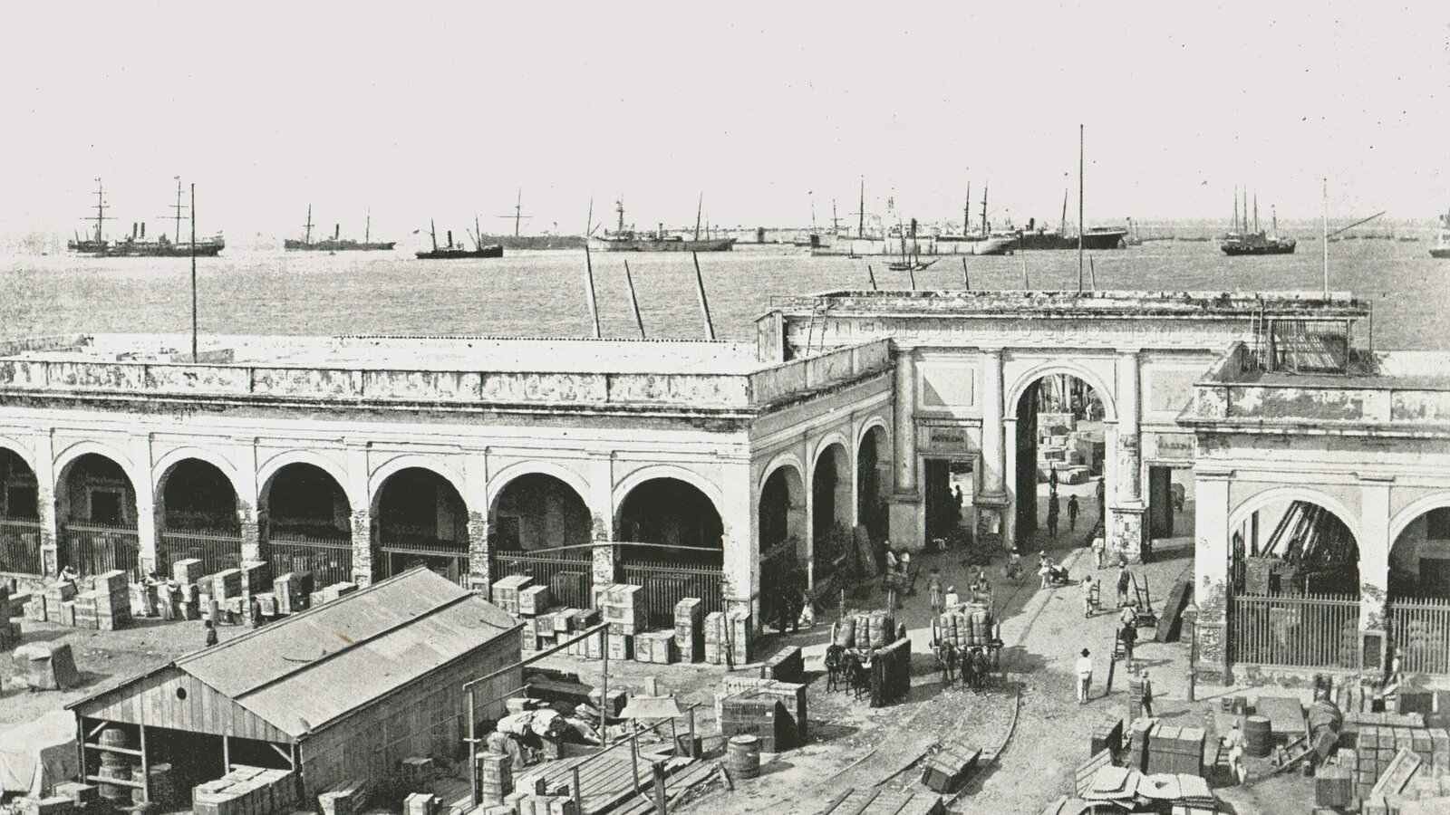 13fa0183-405d-4f21-a1c2-c023aba47a94-1-scaled